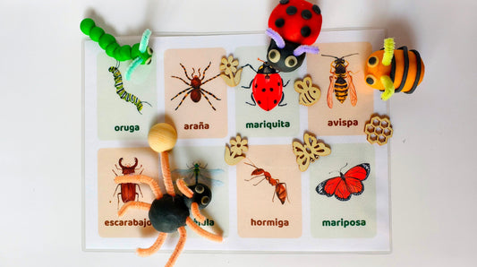 Explorar el mundo de los insectos con los cinco sentidos
