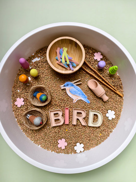 Cómo preparar una bandeja sensorial inspirada en los pájaros