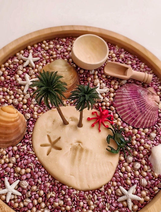 BANDEJA SENSORIAL MONTESSORI SEASHELLS