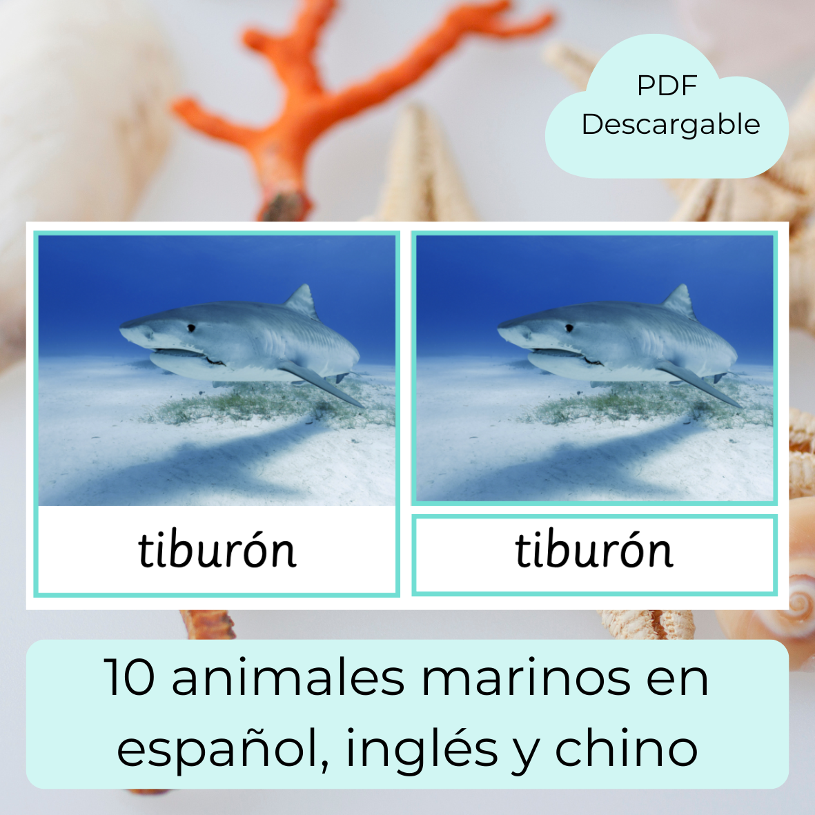tarjetas de 3 partes Montessori