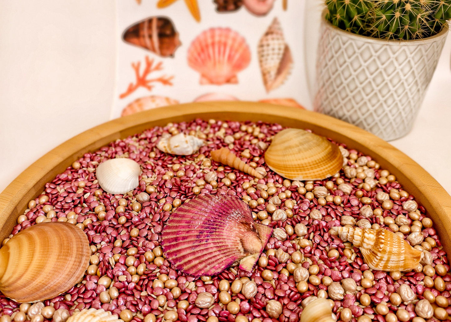 KokoFiller Seashells – Relleno Natural para Bandeja Sensorial Montessori