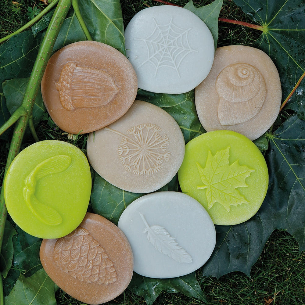 Set completo de 8 sellos con motivos naturales (piña, bellota, caracol, hoja) colocados sobre hojas verdes de arce en un entorno natural.