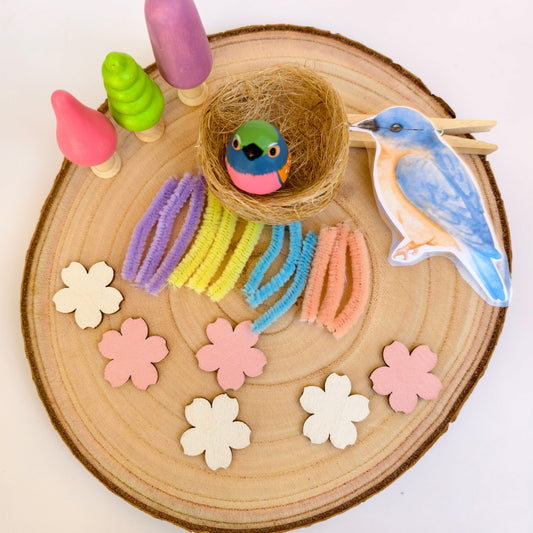 Kit para Bandeja Sensorial inspirada en los pájaros