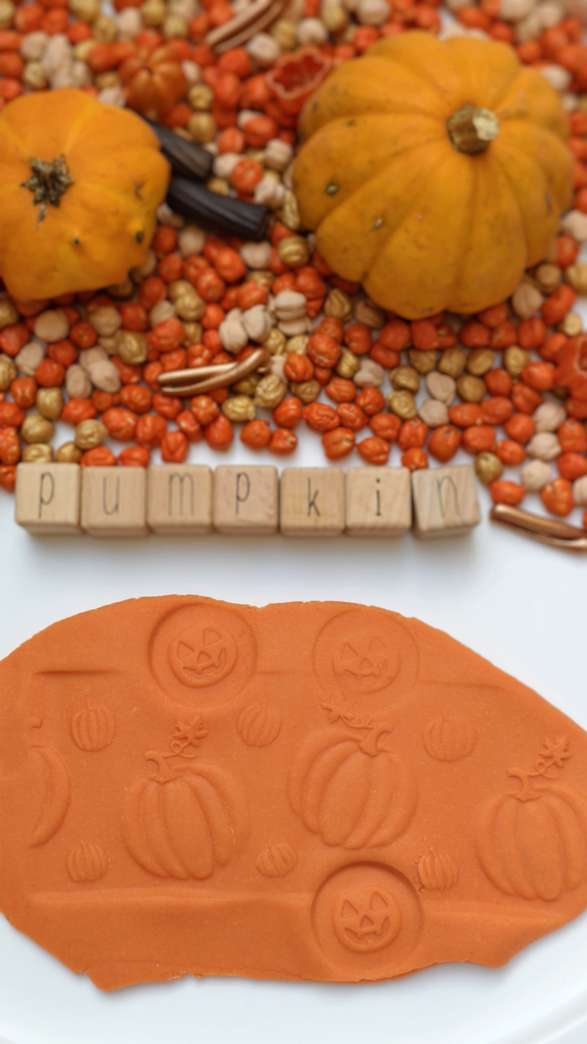 Kokofiller relleno sensorial montessori Pumpkin Harvest 