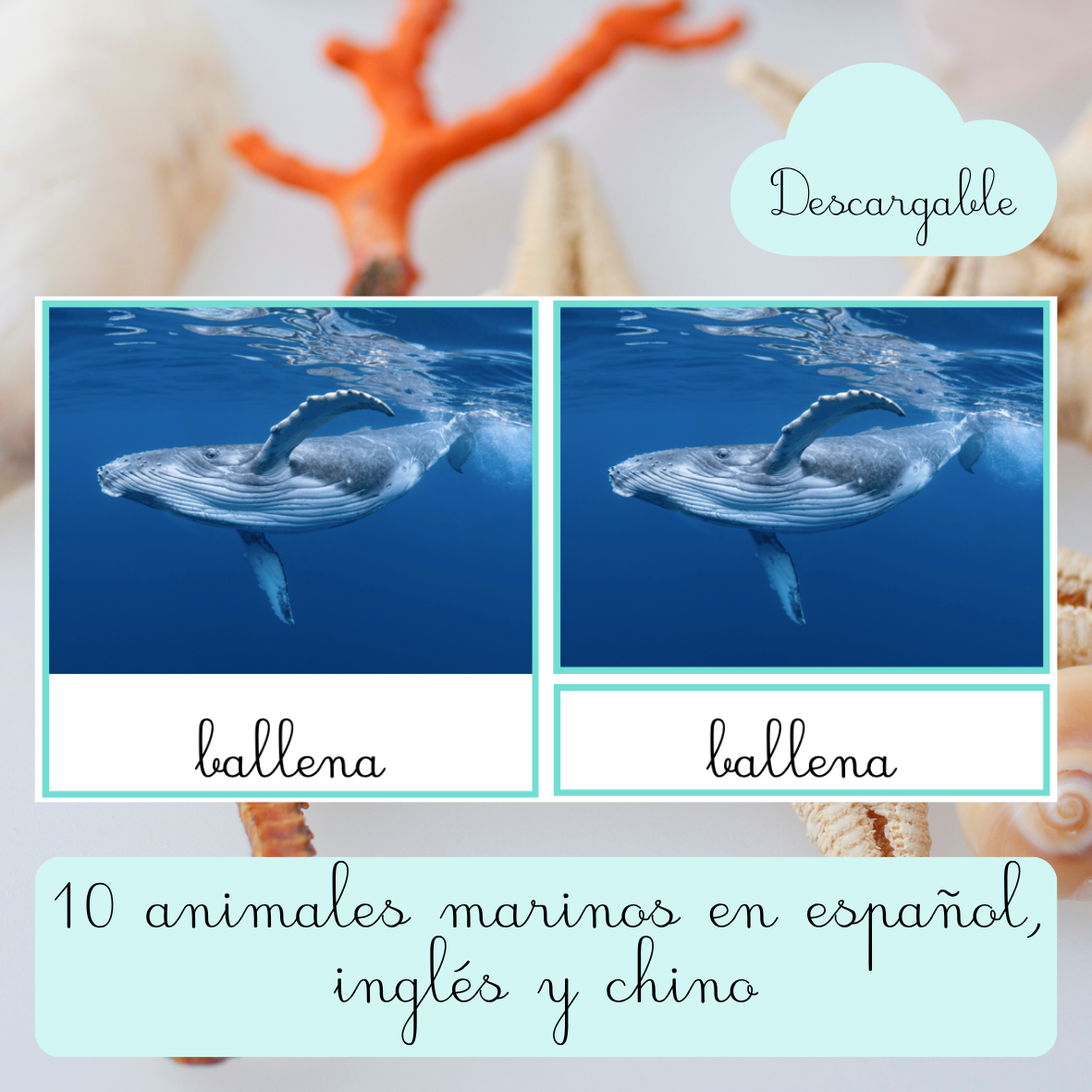Tarjetas de 3 partes Montessori -  10 animales marinos