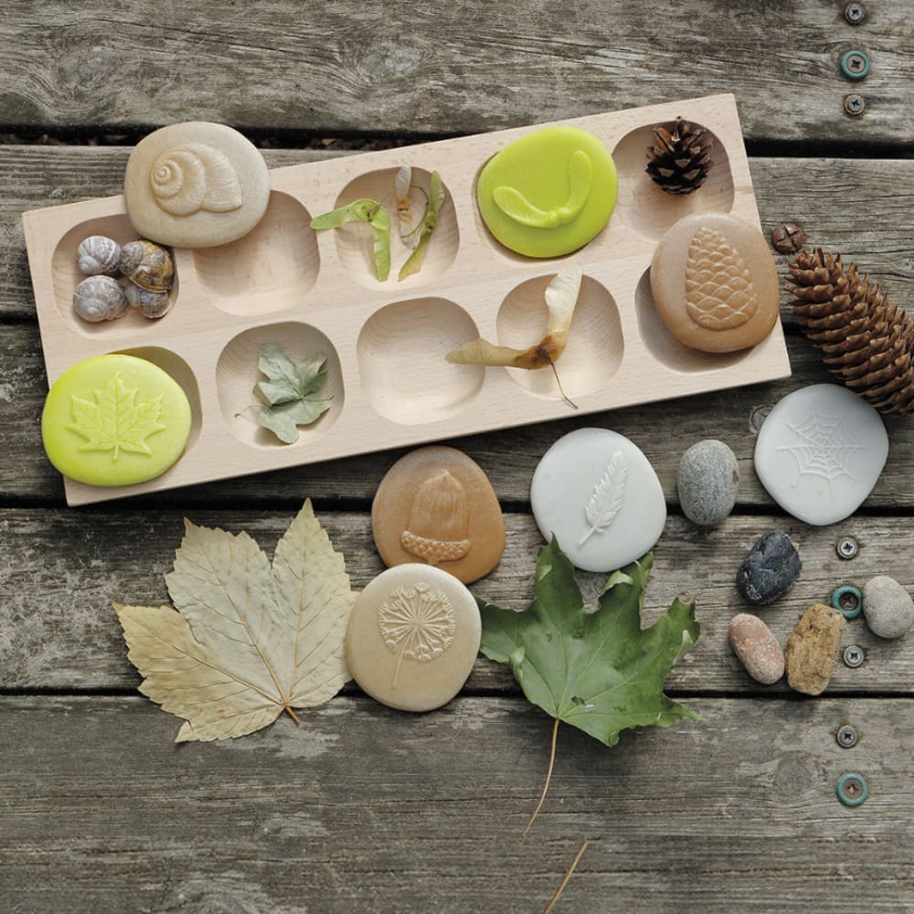 Actividad educativa en bandeja de madera donde se comparan los sellos con elementos reales del bosque como hojas secas, piñas y conchas de caracol.