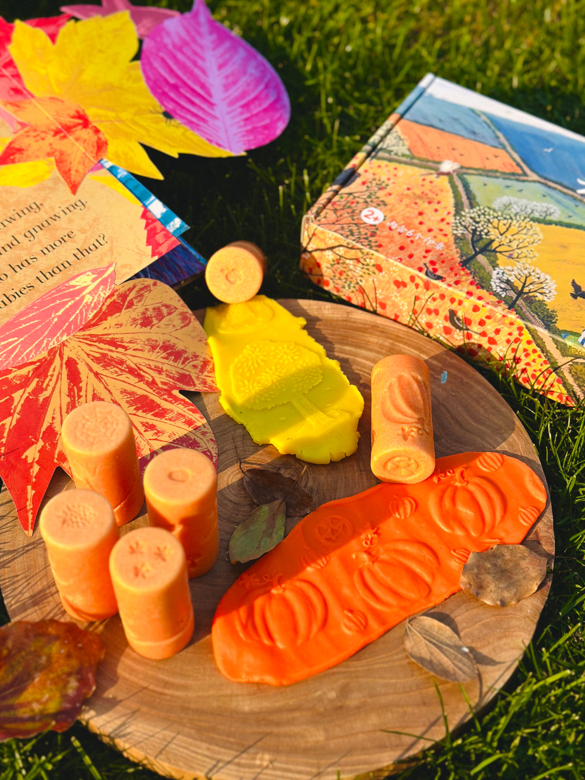 Rodillo y Sello 2 en 1  para Plastilina Natural